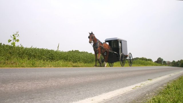 An Amish horse and buggy carriage drives down a lonely country road in Lancaster County of Pennsylvania.