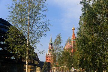 Moscow Kremlin and Saint Basil Cathedral