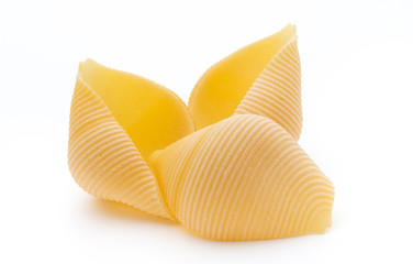 Italian lumaconi isolated on white background.