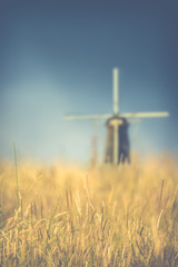Wheat Field Windmill