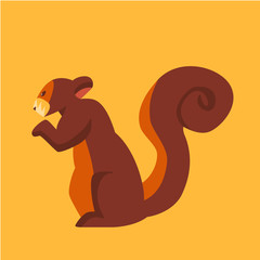 Colorful Vector Squirrel