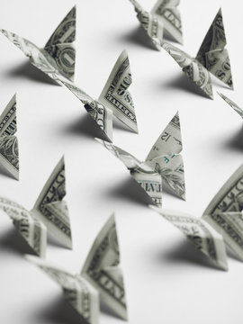 US origami butterfly dollar on white background