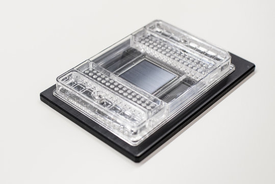 DNA chip