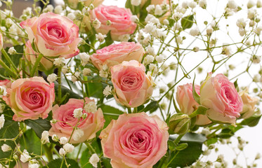 Small decorative pink roses  with small white flowers, close-up.