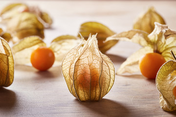 Close-up of closed physalis fruit