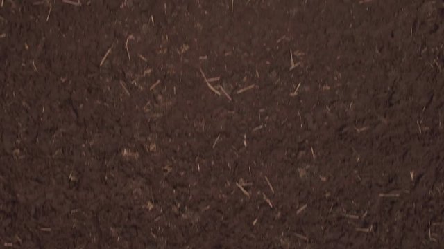 aerial shot of cultivated field