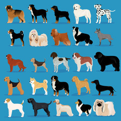 Big set of dogs - obrazy, fototapety, plakaty