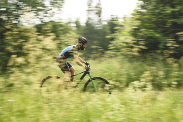 Mountain biker riding in the forest