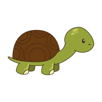 cute turtle character icon