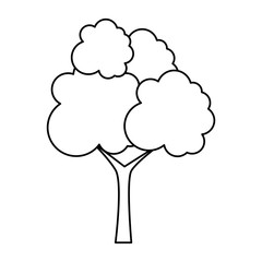 tree plant isolated icon