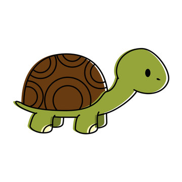 cute turtle character icon