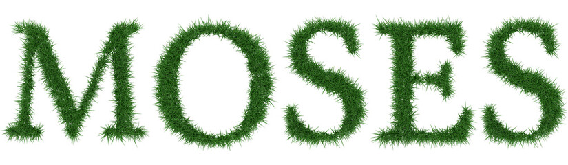 Moses - 3D rendering fresh Grass letters isolated on whhite background.