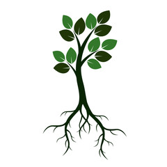 Green Tree with Leaves and Roots. Vector Illustration.