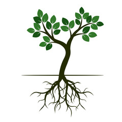 Obraz premium Green Tree with Leaves and Roots. Vector Illustration.