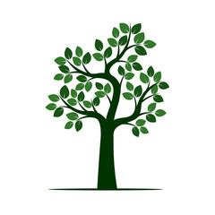 Green Tree with Leaves. Vector Illustration.