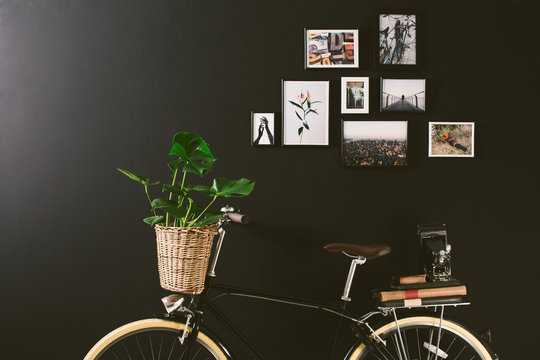 Closeup of a vintage bicycle holding a plant in a basket in front of a black wall.