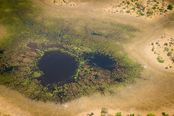 Aerial patterns, Okavango Delta, Botswana