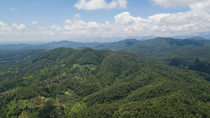 Aerial top view photo from flying drone of the Buddhist temple and fields in  the countryside of Chiang Mai, Northern Thailand