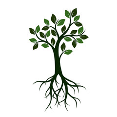 Green Tree with Leaves and Roots. Vector Illustration.
