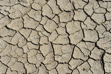 Dry soil cracking