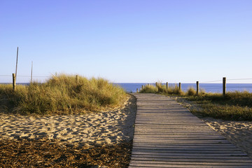 Chemin de planches vers la plage, La Guerinière, île de Noirmoutier, Vendée, France