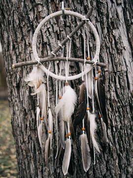 Hand made dreamcatcher consisting of leather and, wood and feathers hanging on tree