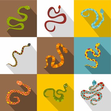 Poisonous snakes icons set, flat style