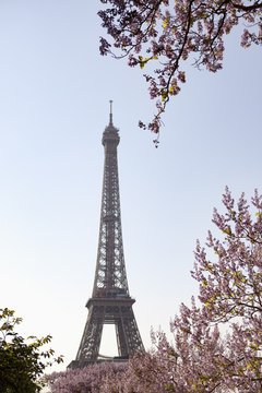 Eiffel Tower