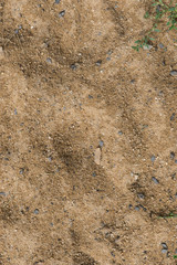 Fototapeta premium sand hintergrund struktur