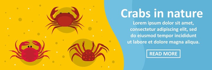 Crabs in nature banner horizontal concept