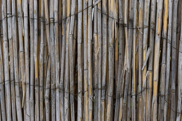 hintergrund holzlatten struktur deluxe