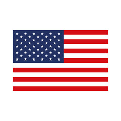 flag united states of america flat colorful icon on white background vector illustration