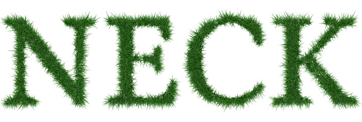 Neck - 3D rendering fresh Grass letters isolated on whhite background.