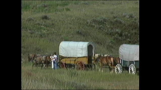 Covered Wagon 19