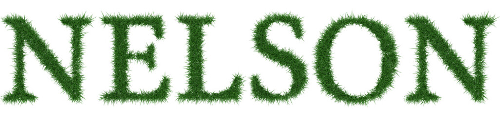 Nelson - 3D rendering fresh Grass letters isolated on whhite background.