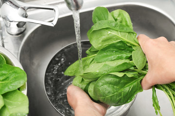 Woman washing spinach in sink
