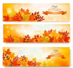 Three abstract autumn banners with colorful leaves Vector