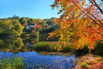 Colorful autumn trees over lake
