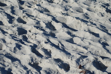 Fototapeta premium Beach Sand
