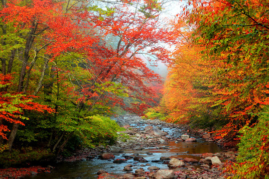Water stream in rural Vermont in autumn time