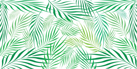 Graphic Leaves of coconut abstract pattern background black and white, Vector illustration