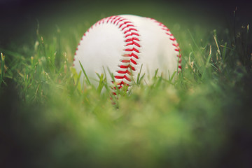 Baseball in the outfield grass.