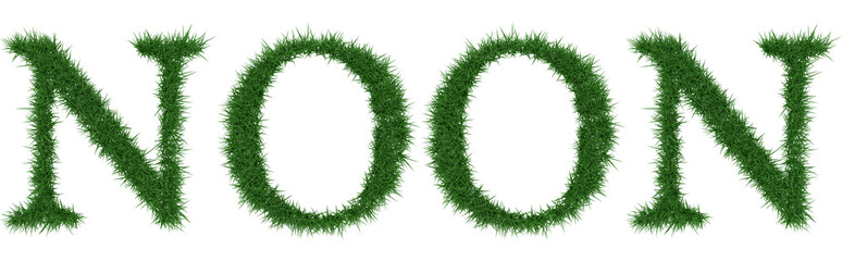 Noon - 3D rendering fresh Grass letters isolated on whhite background.