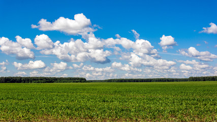 Rural landscape. Clouds over farm fields
