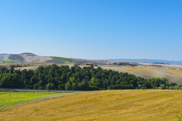Fototapeta na wymiar Plowed hills of Tuscany