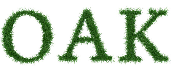 Oak - 3D rendering fresh Grass letters isolated on whhite background.