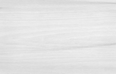 White wooden wall background, texture of bark wood with old natural pattern for design art work.