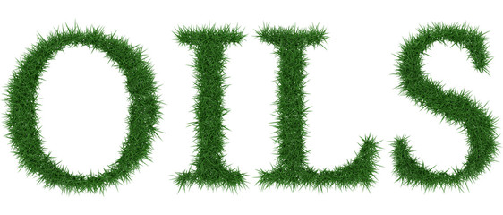 Oils - 3D rendering fresh Grass letters isolated on whhite background.