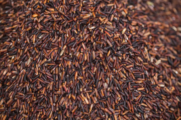 oganic brown rice or riceberry healthy food source of fiber and high vitamin nutrition from Thailand