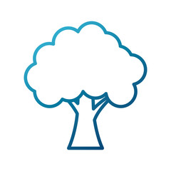 Tree eco symbol icon vector illustration graphic design